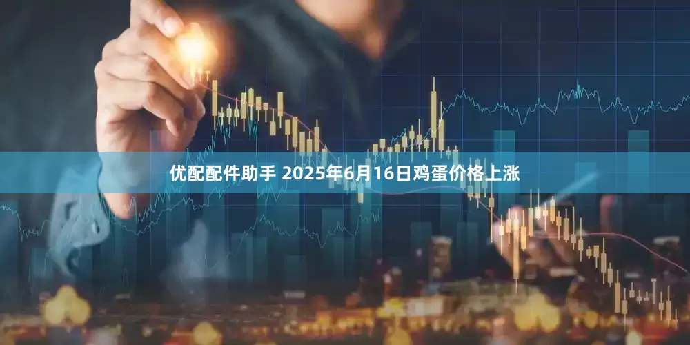 优配配件助手 2025年6月16日鸡蛋价格上涨
