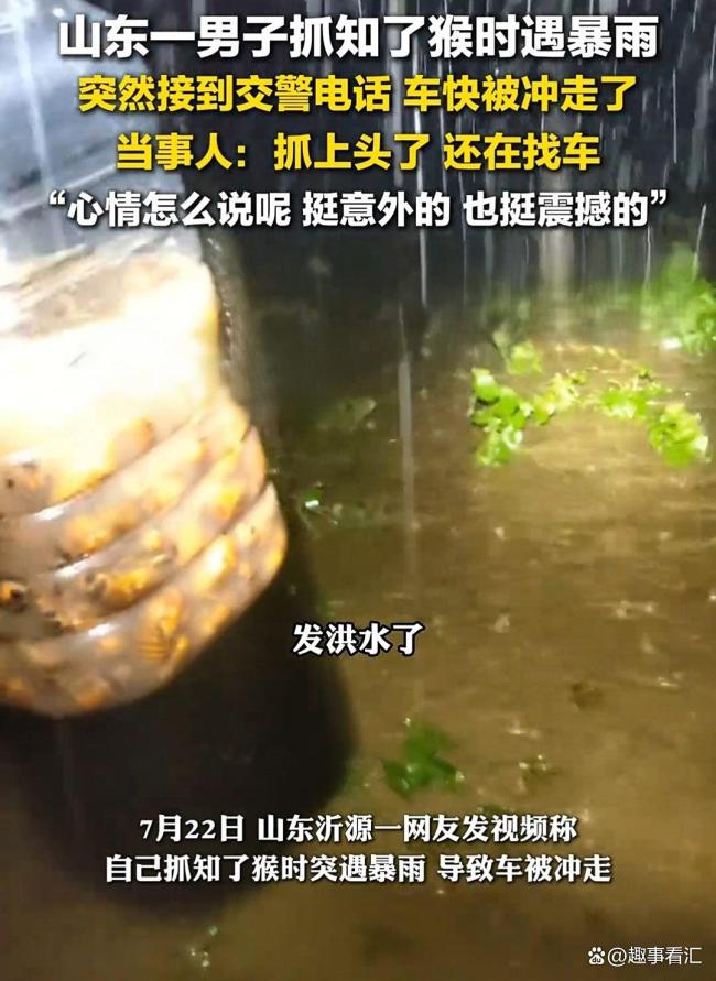 知了猴快被山东人薅没了 抓知了猴有趣还能起到减肥效果