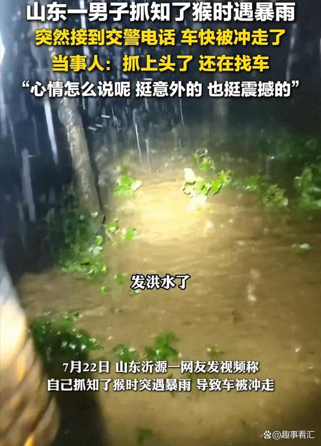 知了猴快被山东人薅没了 抓知了猴有趣还能起到减肥效果