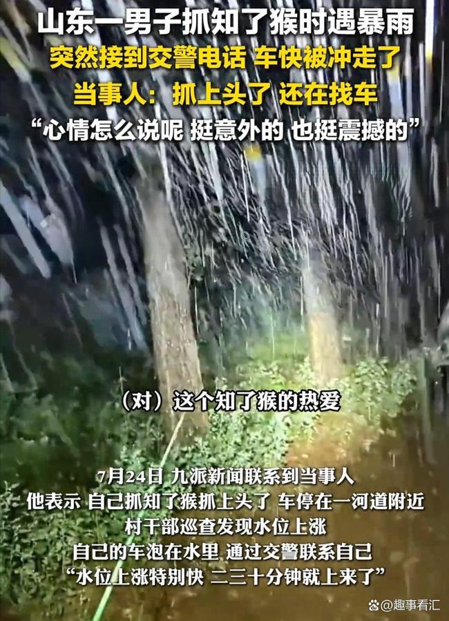 知了猴快被山东人薅没了 抓知了猴有趣还能起到减肥效果