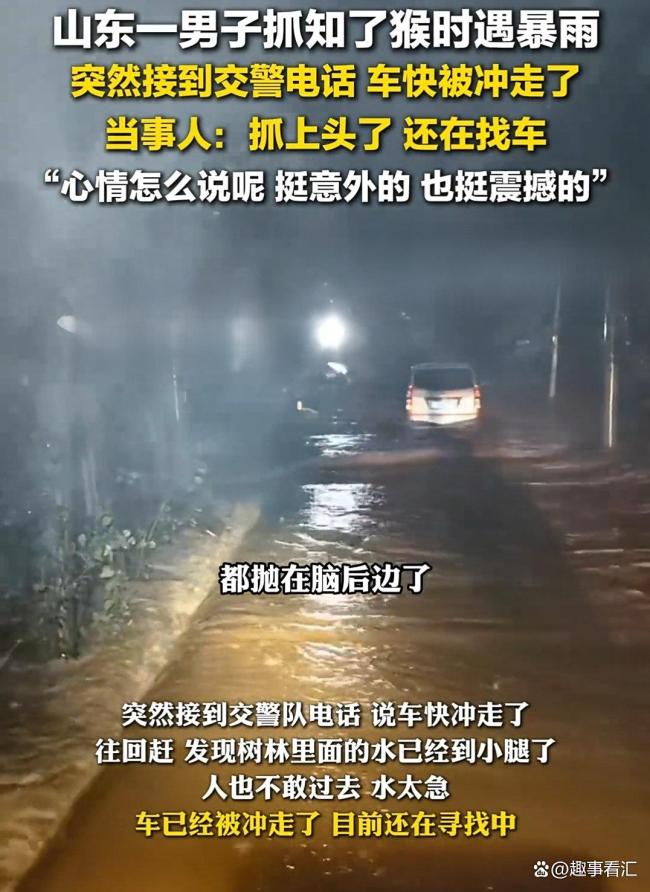 知了猴快被山东人薅没了 抓知了猴有趣还能起到减肥效果
