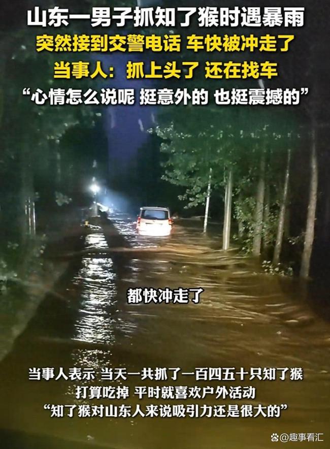 知了猴快被山东人薅没了